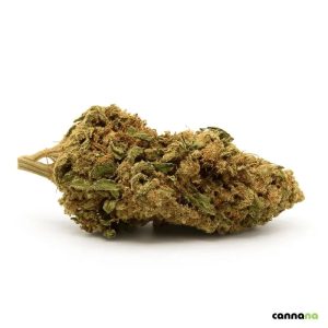420 Shops