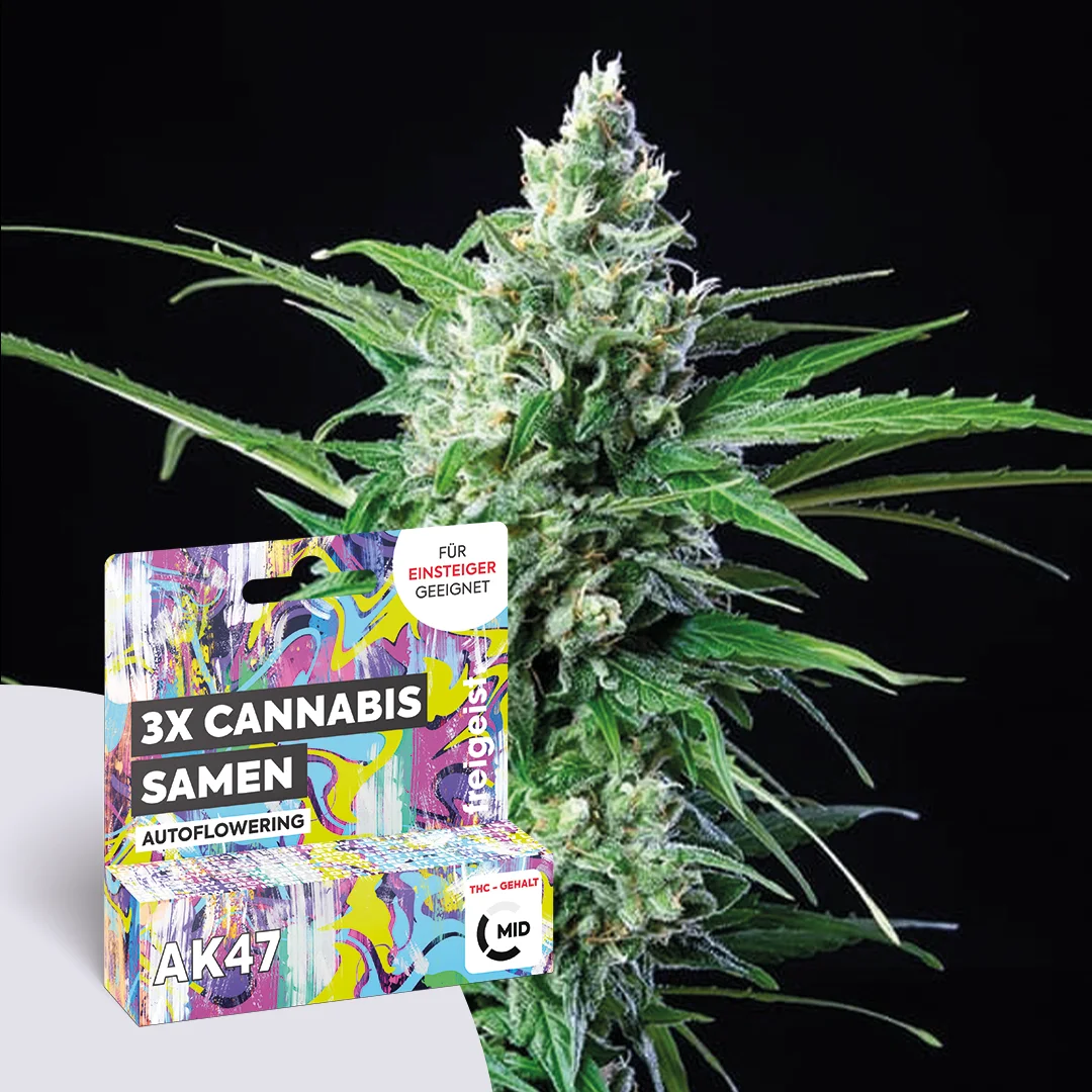 freigeist - Hanfsamen Autoflowering AK47